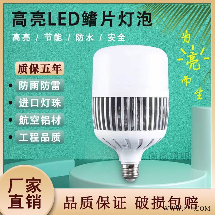 YJNVG LED节能灯图2