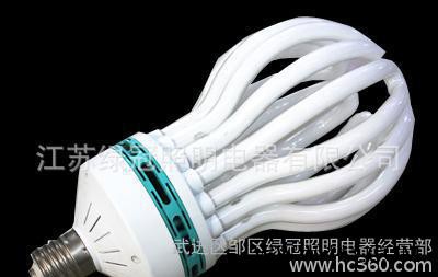 厂家批发纯三基色260W8U莲花节能灯价格 8U节能灯图2