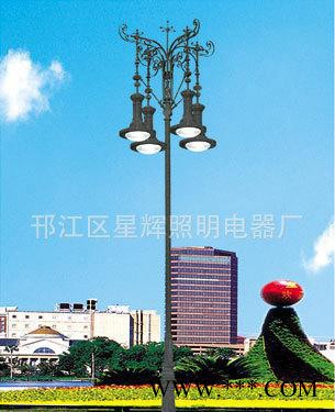 公园景观灯,厂家生产景观灯,生产led景观灯,别墅景观灯,厂家景观礱图2