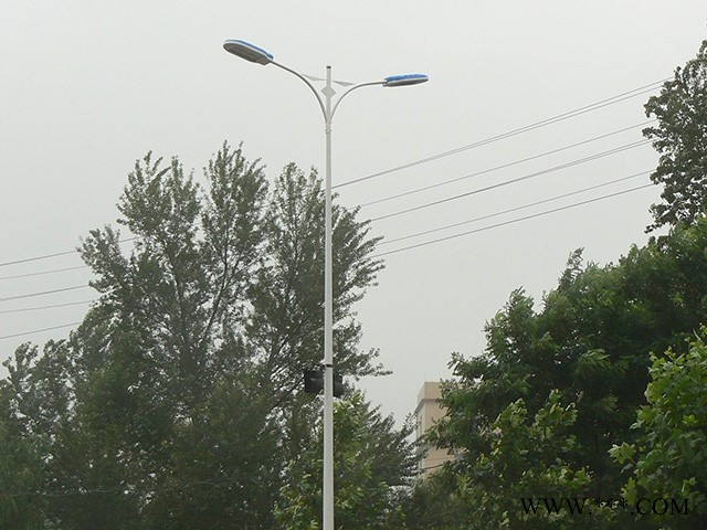 DIS00A 重庆景观灯杆图2