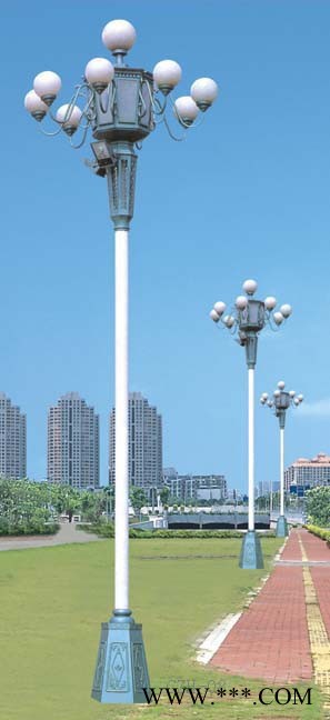 陕西兴平景观灯厂家图4