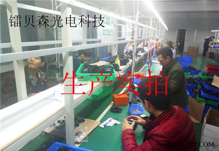 户外绿化防水景观灯 草坪激光灯 埋地灯 圣诞树装饰灯图3