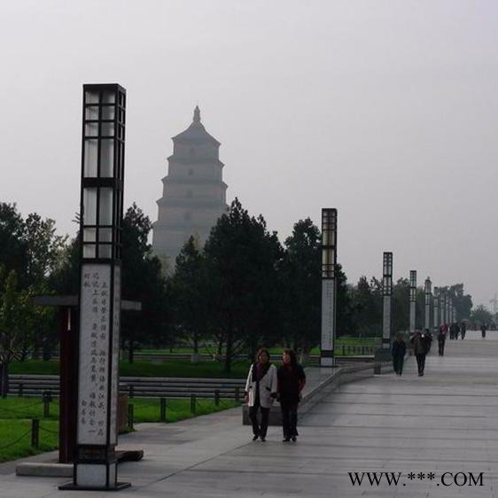 远达yoda-0045 景光灯 景观灯 **LED景观灯图1