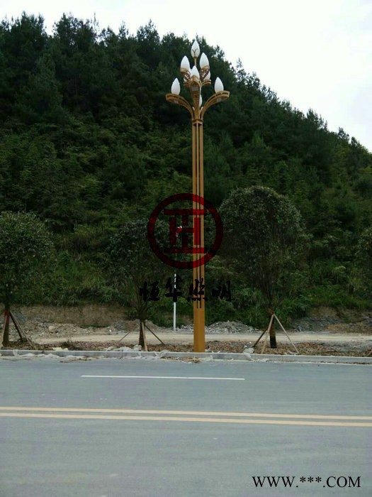 景观灯厂家；LED景观灯图2