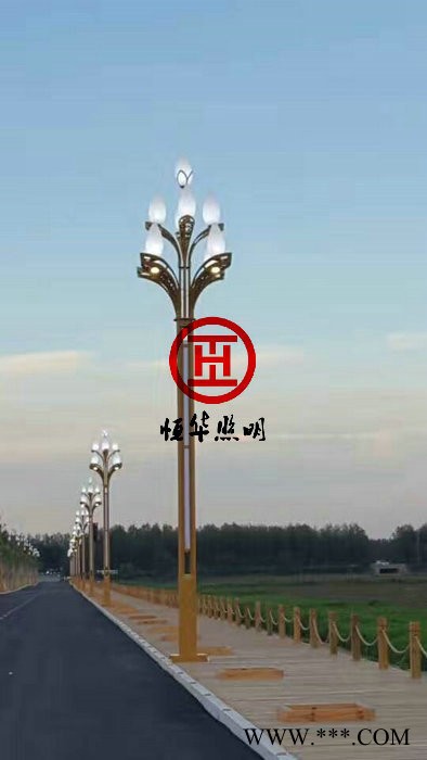 景观灯厂家；LED景观灯图1