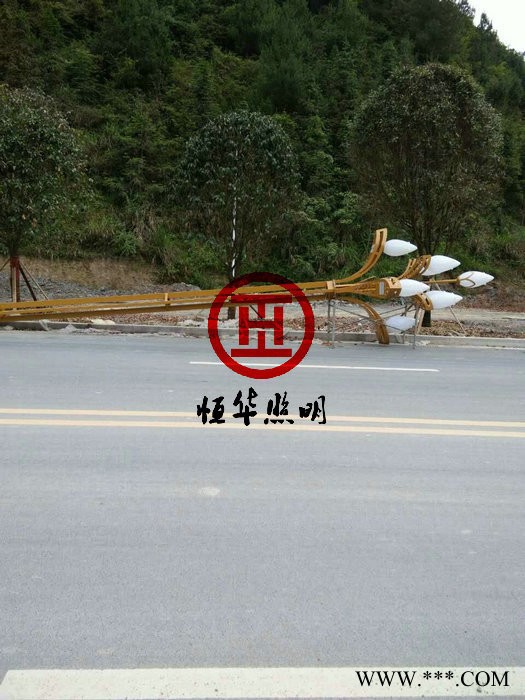 景观灯厂家；LED景观灯图3