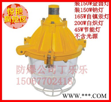 中沈防爆直销200W隔爆型防爆灯45W防爆节能灯150W防爆金卤灯图3