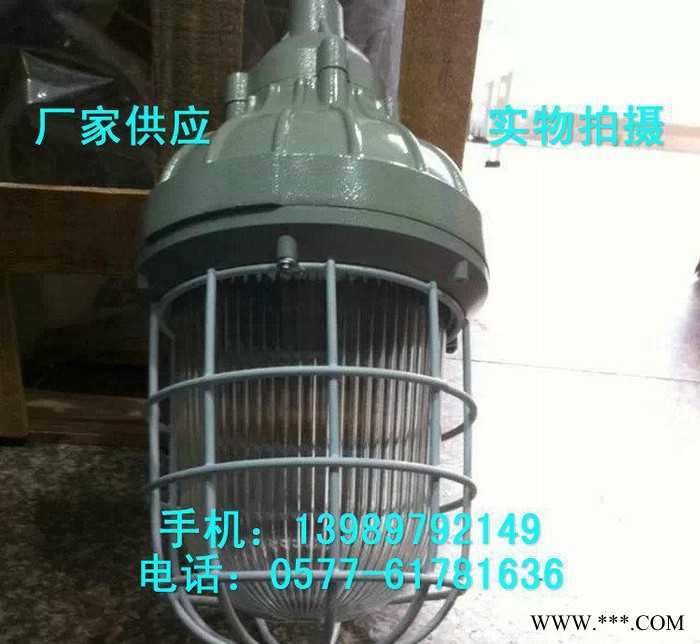CCd93-J68xH防爆照明工厂节能灯图2