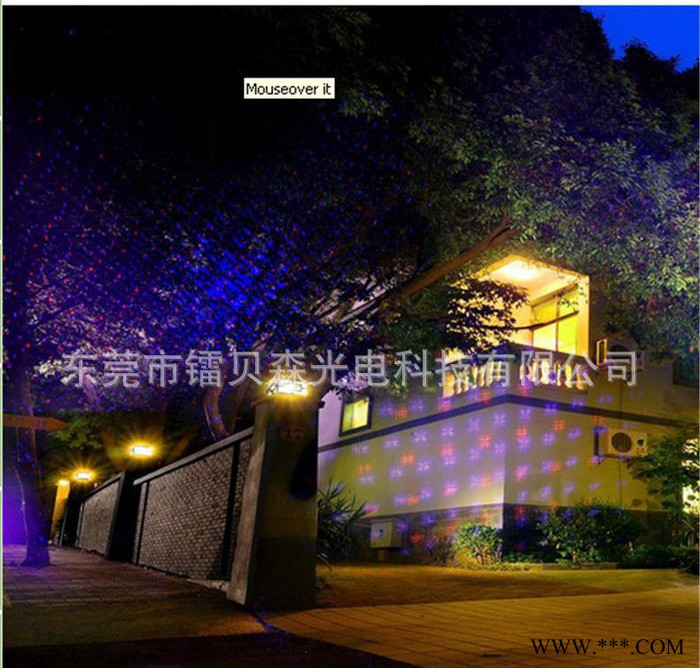 动态图案遥控激光灯 激光插地灯 防水草坪灯 红绿双色激光装饰图3