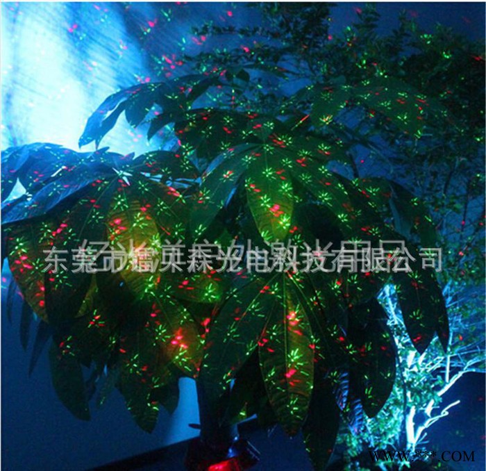 动态图案遥控激光灯 激光插地灯 防水草坪灯 红绿双色激光装饰图2