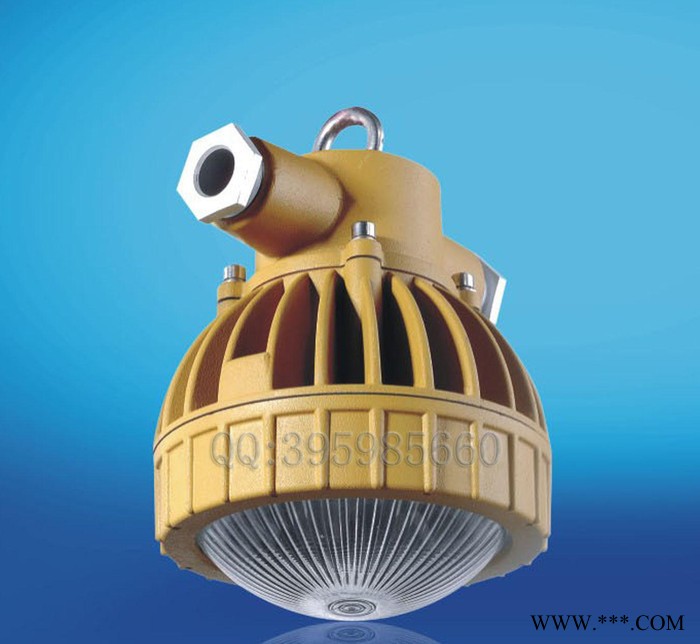 LED防爆免维护节能灯10W20W30WLED防爆灯T1T6图1
