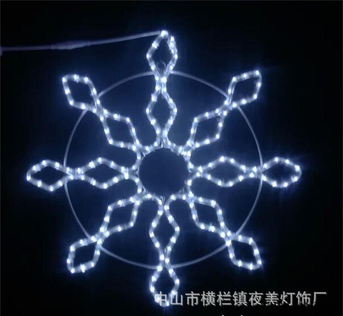 **雪花造型灯  广告灯平面图案灯  工程亮化景观灯图2