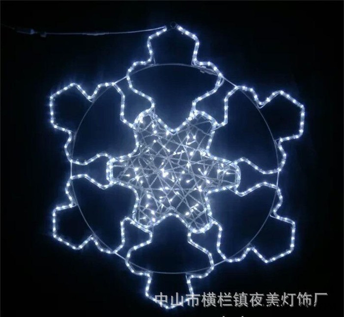 **雪花造型灯  广告灯平面图案灯  工程亮化景观灯图3