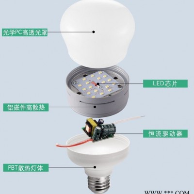 led节能灯球泡灯低压灯