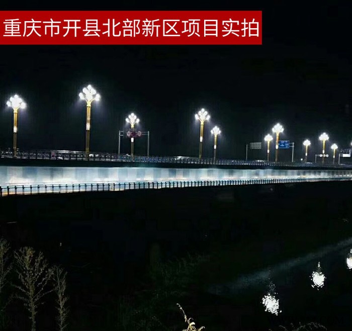 路晟照明LS-YL-01 中华灯 玉兰灯景观灯定制图3