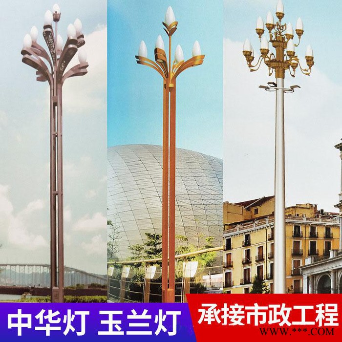 路晟照明LS-YL-01 中华灯 玉兰灯景观灯定制图5