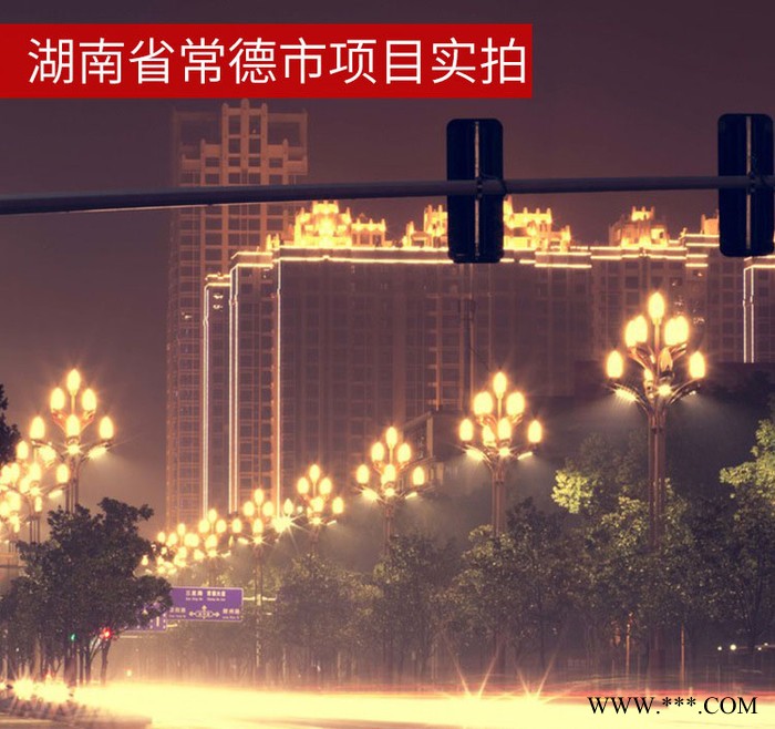 路晟照明LS-YL-01 中华灯 玉兰灯景观灯定制图4