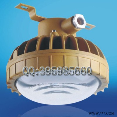LED防爆免维护节能灯 20W40WLED粉尘防爆型防爆灯