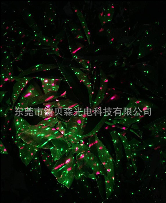 户外防水草坪激光灯 红绿双色激光灯 园林装饰灯 户外聚会装饰图1