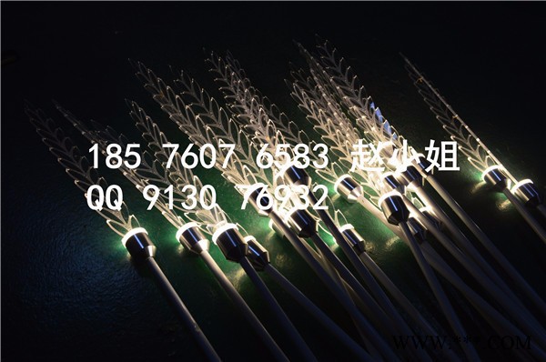 Andes莲花灯设计图片**安装效果图，超低价格现货供应景观灯图2