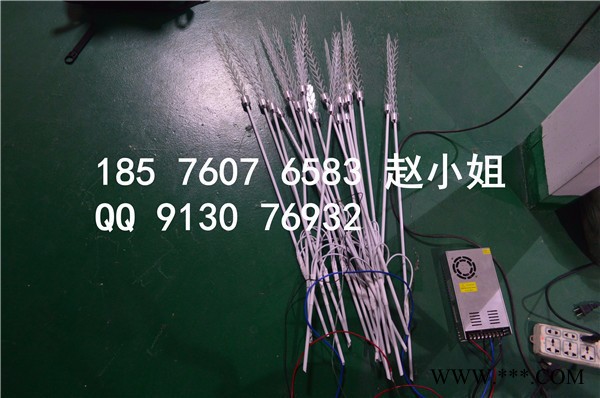 Andes莲花灯设计图片**安装效果图，超低价格现货供应景观灯图3