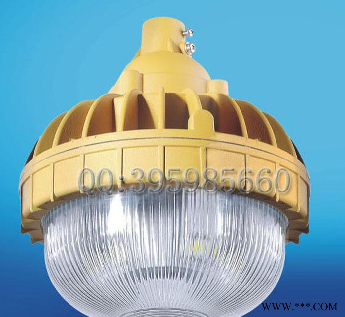 LED防爆免维护节能灯 20W40W免维护灯 LED粉尘防爆图1