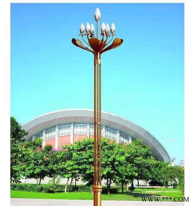 硕日SR-TYN-LD-001 LED路灯 景观灯 太阳能路灯 厂家