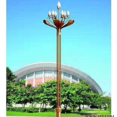 硕日SR-TYN-LD-001 LED路灯 景观灯 太阳能路灯 厂家