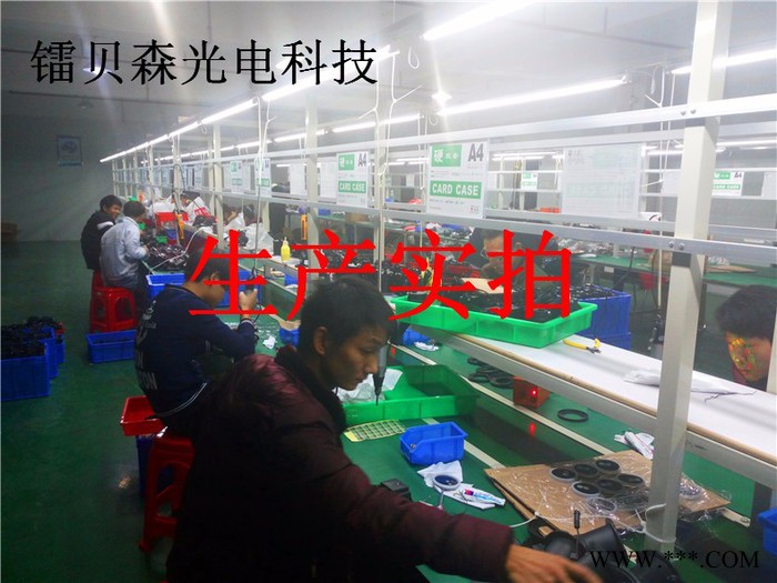 镭贝森 遥控防水草坪激光灯 圣诞庭院投影灯 花园别墅灯 **认证齐全 遥控草坪激光灯图8