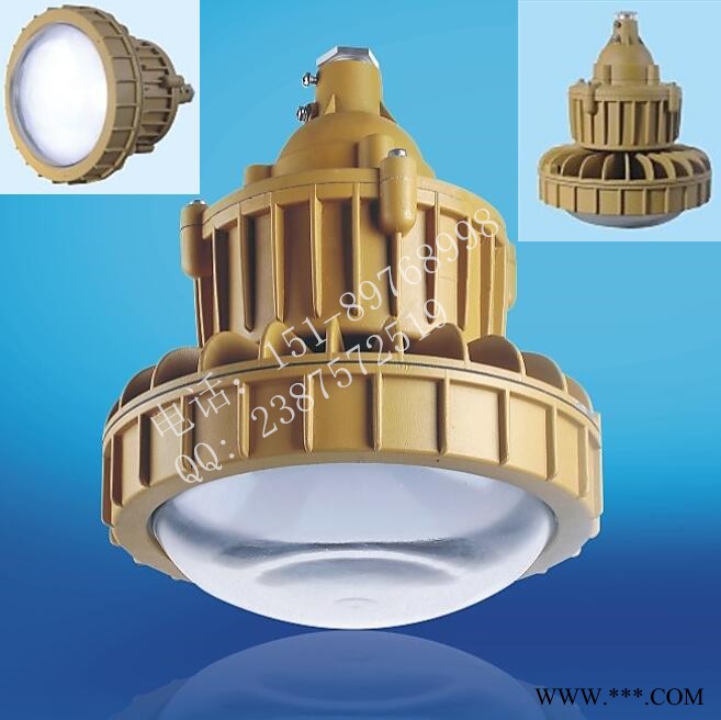 LED免维护D防爆节能灯BRE8626_30W40W50W6