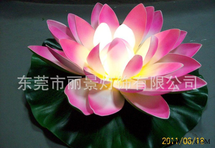 LED**LED荷花景观灯/LED浮水**/图2