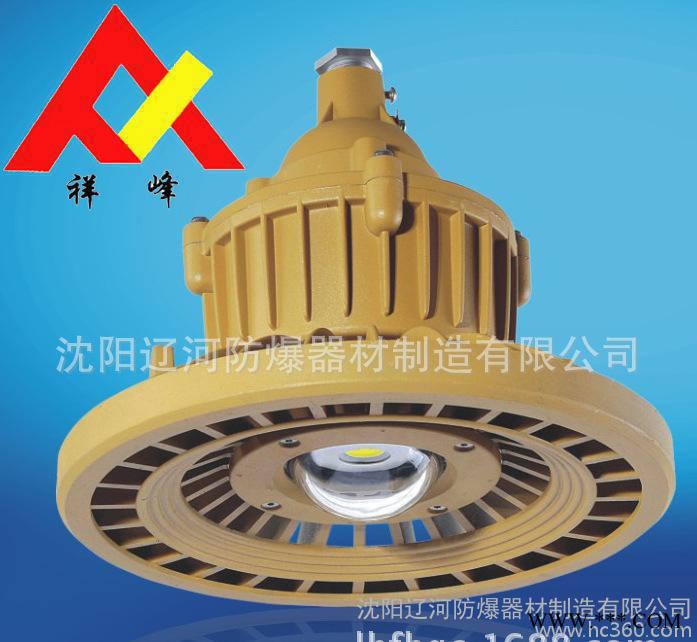 LED防爆灯 防爆免维护节能灯 98640 直销 辽河防爆 隔爆型图3