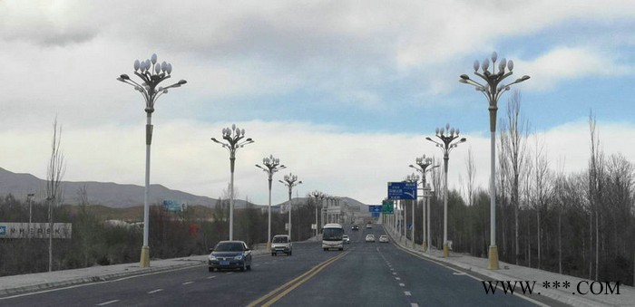 【恒华照明】生产各种景观灯 LED道路照明景观组合灯图3
