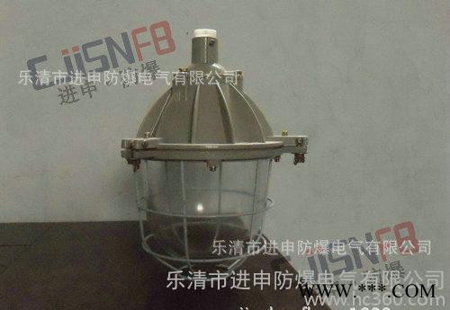 防爆灯具 BCD-DIP 粉尘防爆灯 DIP A20 粉尘防爆节能灯图3