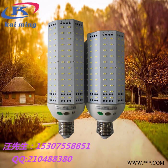 凯明KW-LC100W  玉米灯    E40八面发光横插节能玉米灯   景观灯   庭院灯图3