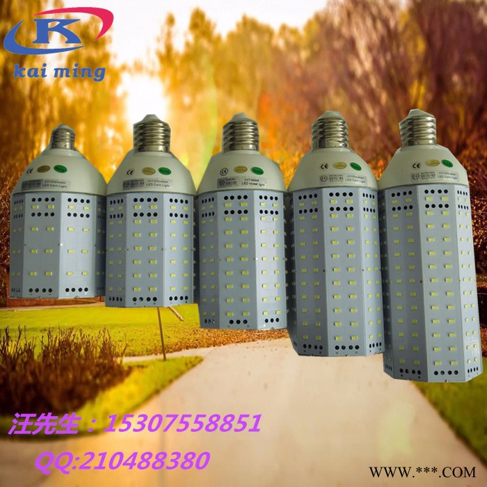 凯明KW-LC100W  玉米灯    E40八面发光横插节能玉米灯   景观灯   庭院灯图2