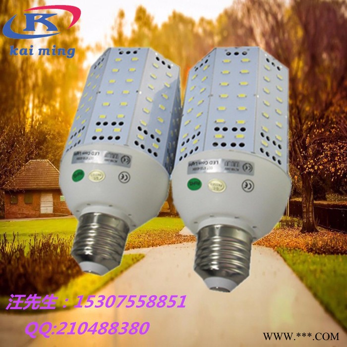 凯明KW-LC100W  玉米灯    E40八面发光横插节能玉米灯   景观灯   庭院灯图1