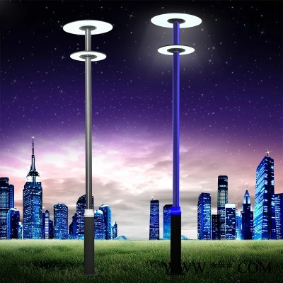 3米4米LED庭院灯** 公园小区景观灯 户外防水小区路灯 别墅花园灯图2