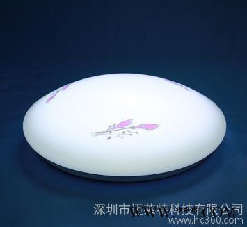 LED照明 厂家批发 汕头 揭阳节能灯图2
