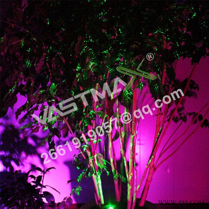 双色动态遥控灯圣诞灯激光灯红绿双绿双红草坪灯满天星美化激光灯图5