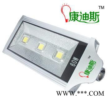 LED 大功率路灯 城市景观灯 60W工程照明灯 公园 广场 户外照明图1