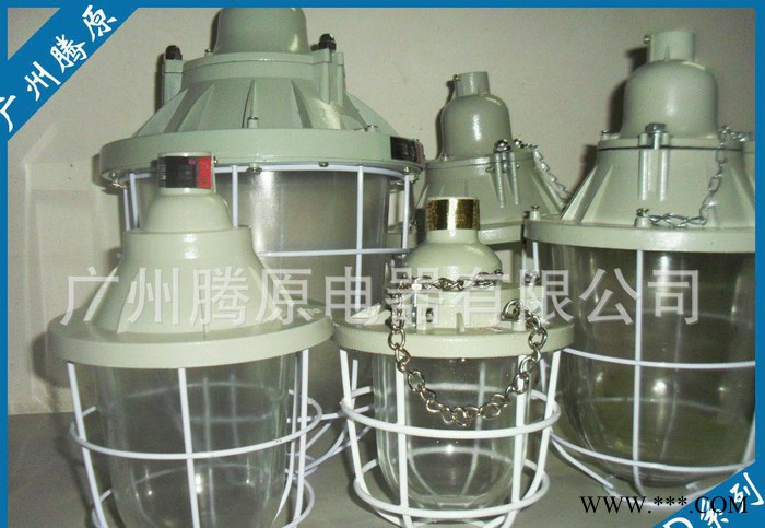 bcd200W大隔爆型防爆灯 防爆节能灯 厂用防爆灯图2