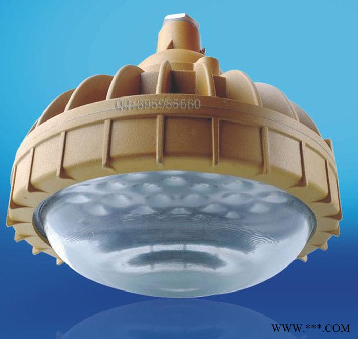 20W40W专用LED灯 LED防爆免维护节能灯 海洋石油灯图3