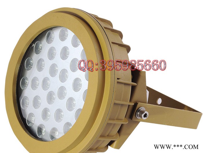 20W40W专用LED灯 LED防爆免维护节能灯 海洋石油灯图1
