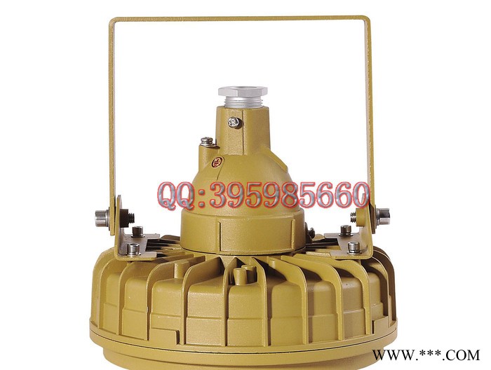 20W40W专用LED灯 LED防爆免维护节能灯 海洋石油灯图2