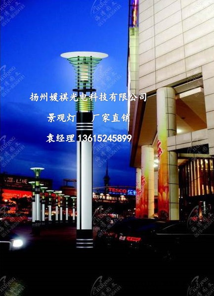 【媛祺照明】 景观灯系列** LED路灯、太阳能路灯、专业的路灯生产厂家图2