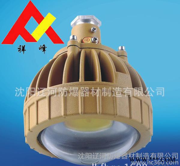 LED三防灯 防爆免维护节能灯 直销 沈阳辽河量大优惠图3
