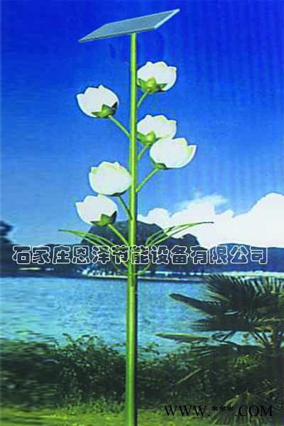 河北廊坊太阳能景观灯供应商恩泽节能为您提供**产品图3