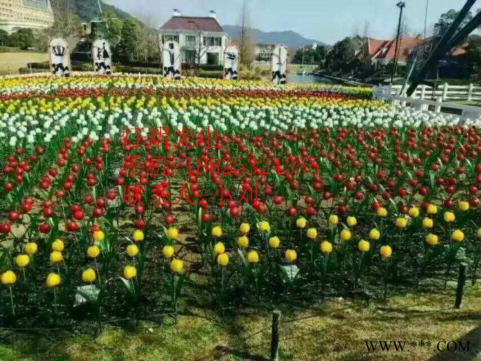 灯熠光电DY012  公园景观灯地插玫瑰花灯地插迷人郁金香灯图7