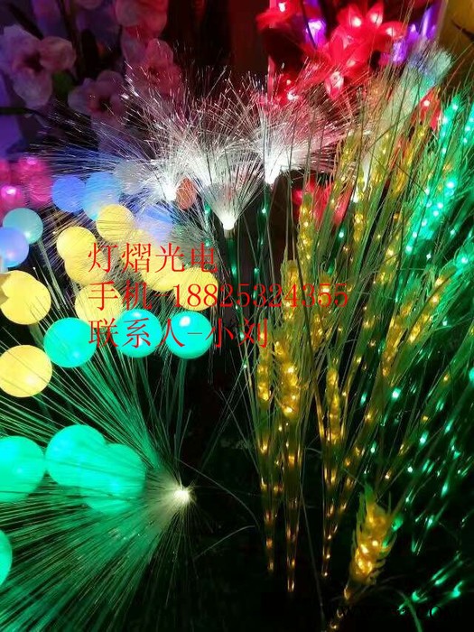 灯熠光电DY012  公园景观灯地插玫瑰花灯地插迷人郁金香灯图6